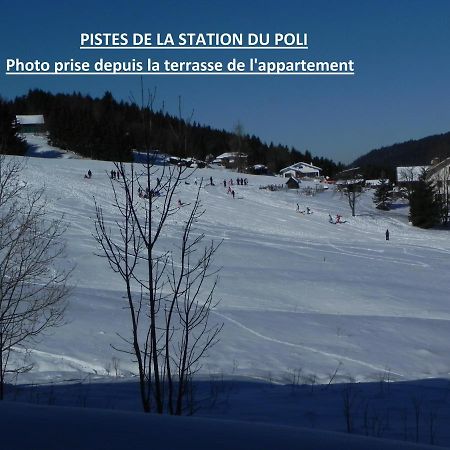 Appt 3* Le Haut Des Lacs Xonrupt-Longemer Zewnętrze zdjęcie