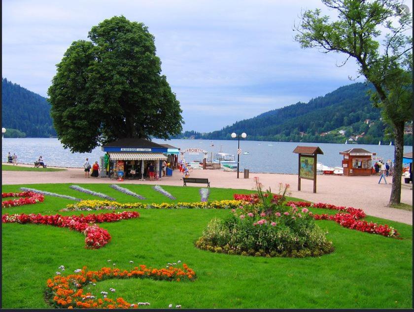 Appt 3* Le Haut Des Lacs Xonrupt-Longemer Zewnętrze zdjęcie