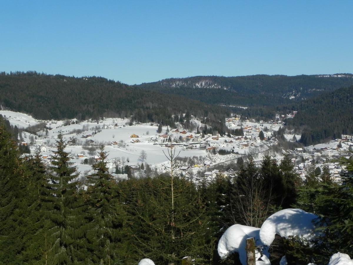 Appt 3* Le Haut Des Lacs Xonrupt-Longemer Zewnętrze zdjęcie
