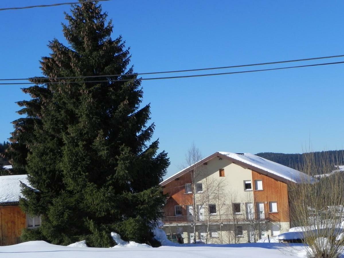 Appt 3* Le Haut Des Lacs Xonrupt-Longemer Zewnętrze zdjęcie