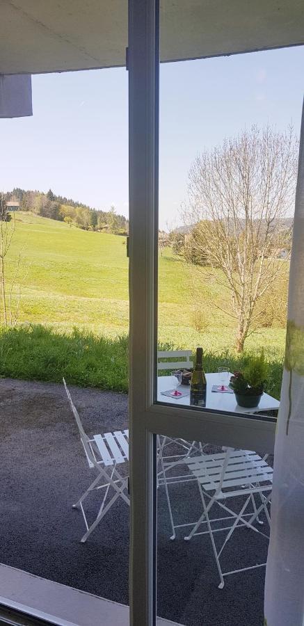 Appt 3* Le Haut Des Lacs Xonrupt-Longemer Zewnętrze zdjęcie